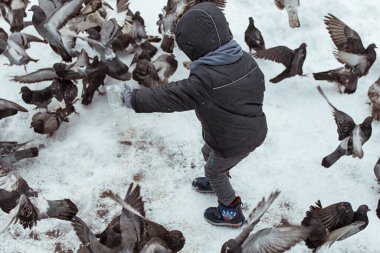 Küçük bir çocuk kışın güvercinleri besler..