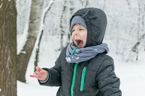 Malý Chlapec Věku Let Hraje Venku Sněhu Parku Zimě — Stock fotografie
