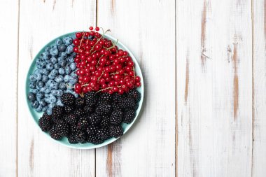 Taze böğürtlen, yaban mersini, böğürtlen ve beyaz ahşap arka planda bir tabakta kırmızı frenk üzümü. Metnin için yer.