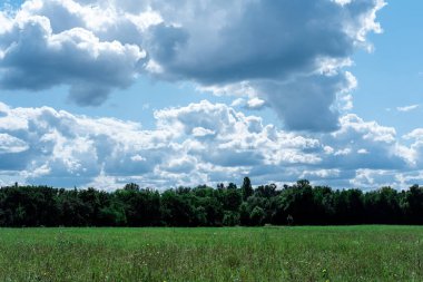 Yeşil tarla, orman ve bulutlu mavi gökyüzü.