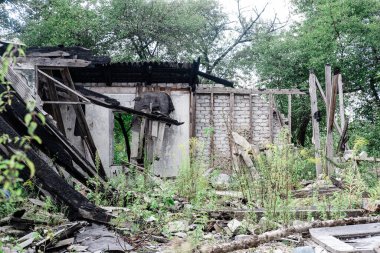 Çimlerle kaplı yanmış bir ev..