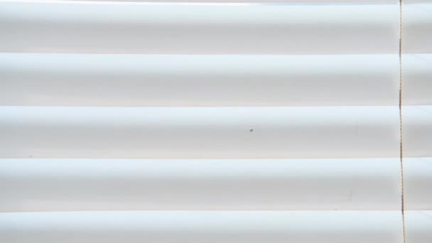 Beyaz Panjurlara Giden Kabloların Görüntüsü — Stok video