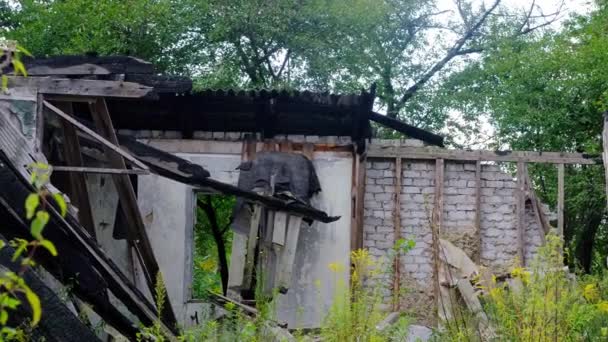 Uma Casa Queimada Arruinada Coberta Plantas — Vídeo de Stock