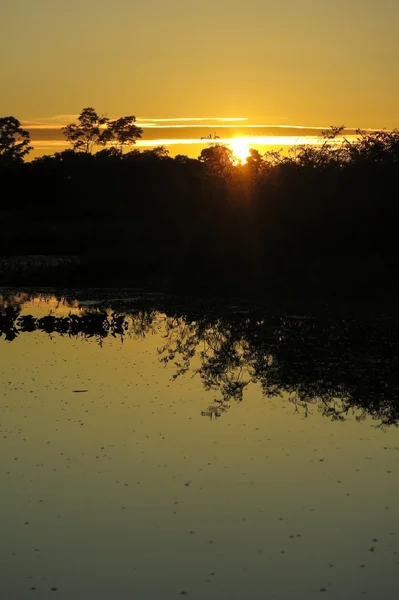 Sunrise a dzsungelben, Bolívia — Stock Fotó