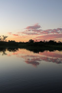 Ormanda Gündoğumu. 