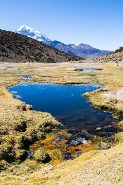 Junthuma geysers jeotermal faaliyet tespit tarafından kuruldu. Bolivya