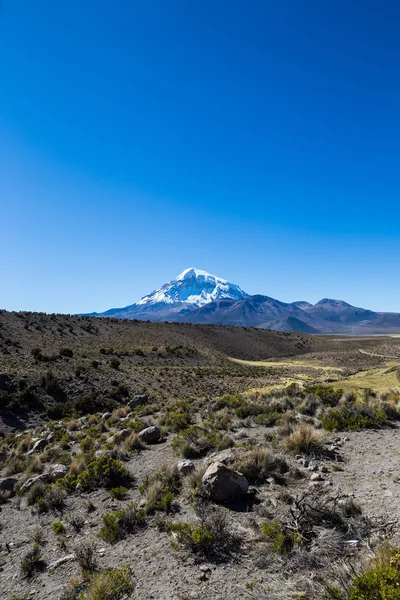 Paisaje alto de tundra andina en las montañas de los Andes . —  Fotos de Stock