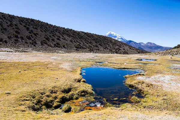Junthuma geysers jeotermal faaliyet tespit tarafından kuruldu. Bolivya — Stok fotoğraf