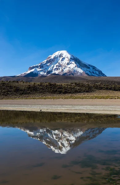 Sajama volcano and lake Huaynacota. Andean Bolivia — Stock Photo, Image