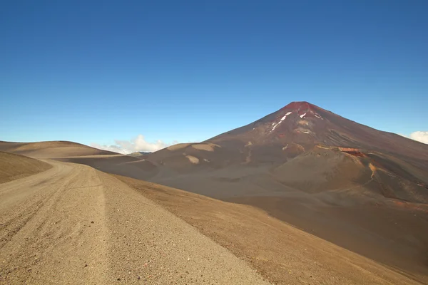 Lonquimay und tolhuaca vulkan, chili — Stockfoto