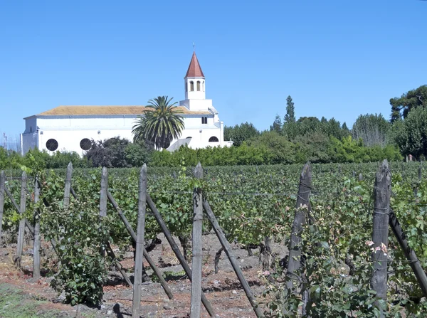 Maipo-völgyben, Chile borászati ágazat — Stock Fotó