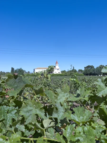 Vinařství v Maipo valley, Chile — Stock fotografie