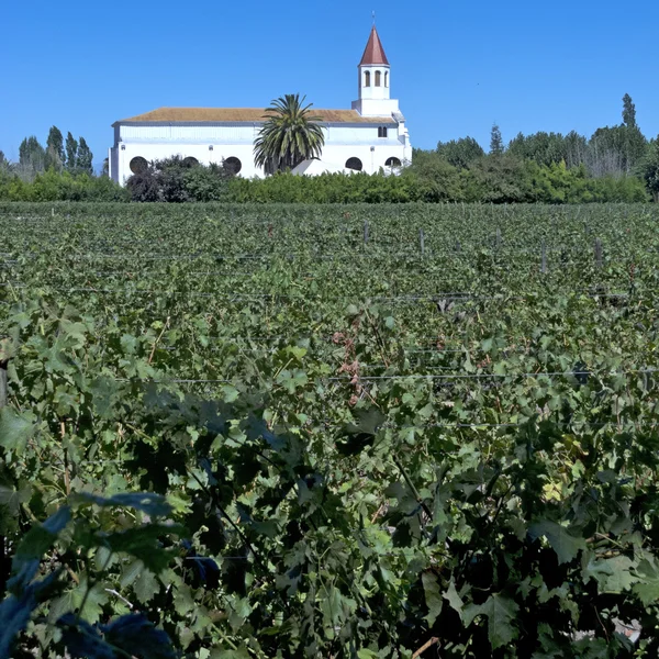 Vinařství v Maipo valley, Chile — Stock fotografie