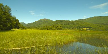 Laguna Malleco Tolhuaca Milli Parkı'nda. Şili