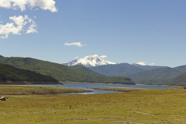 nalcas Milli Parkı, Şili. 