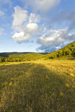 conguillio park, Şili