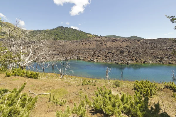 Nalcas National Reserve, Chilean Patagonia, Chile. — Stock Photo, Image