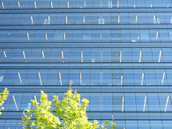 Edificio per uffici di sfondo con cristalli blu — Foto Stock