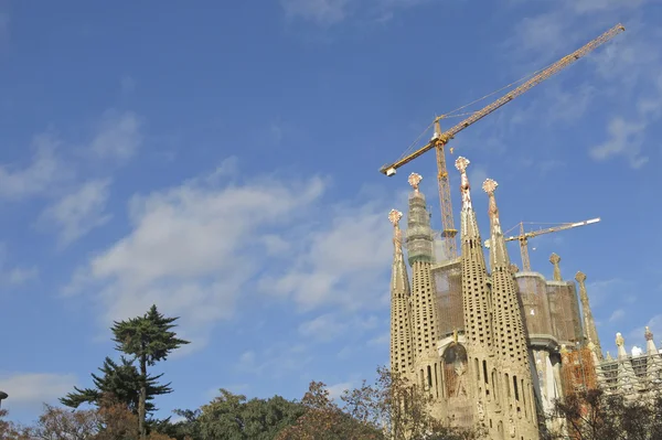 Barcelona'da Sagrada familia Tapınağı — Stok fotoğraf