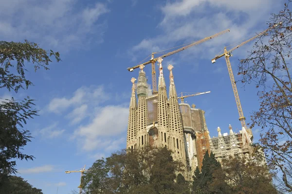 Barcelona'da Sagrada familia Tapınağı — Stok fotoğraf