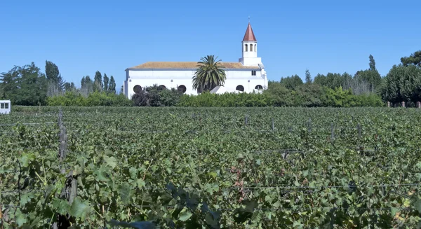 Indústria vitivinícola no chile — Fotografia de Stock
