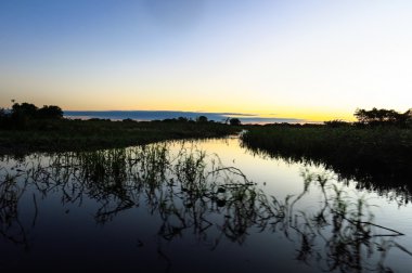 Bolivya Amazon geçiş