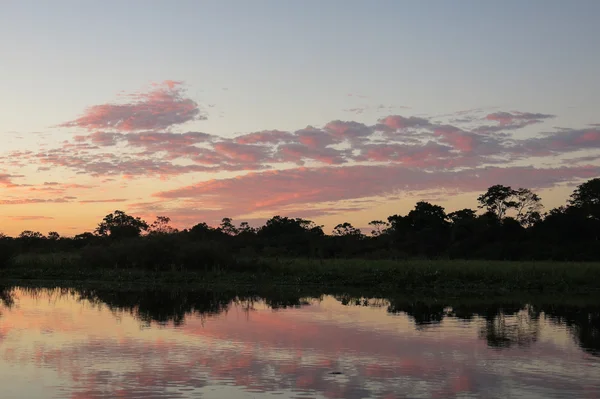 Sunrise a dzsungelben, Bolívia — Stock Fotó