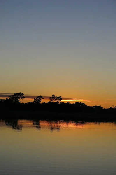 Sunrise a dzsungelben, Bolívia — Stock Fotó