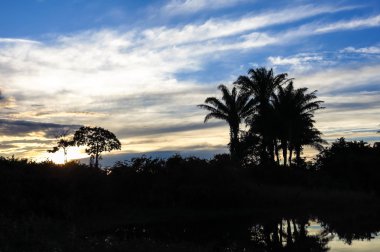 Yacuma Nehri. Amazon geçiş tekne.