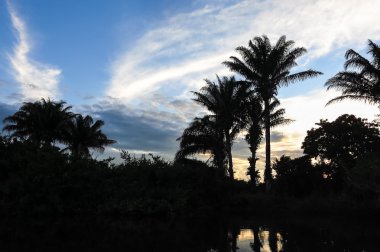 Yacuma Nehri. Amazon geçiş tekne.