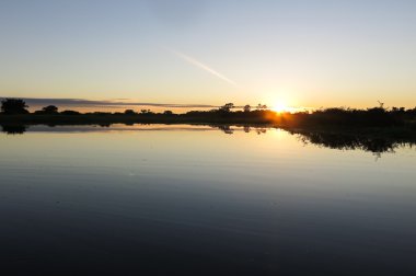 Ormanda Gündoğumu. 
