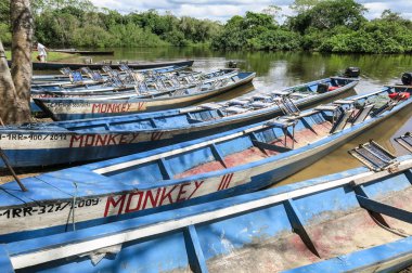Bağlantı noktası Madidi Nehri üzerinde tekne 