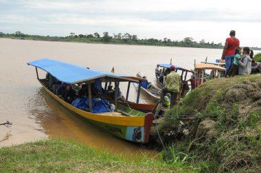 bir nehir orman çizme