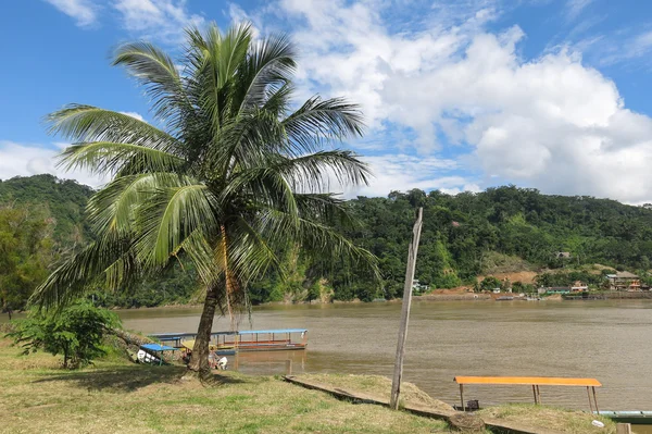 Rurrenabaque, Bolivia: Beni Nehri üzerinde tekne — Stok fotoğraf