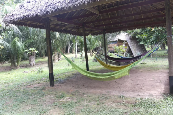 Tropische jungle huis in Bolivia. — Stockfoto