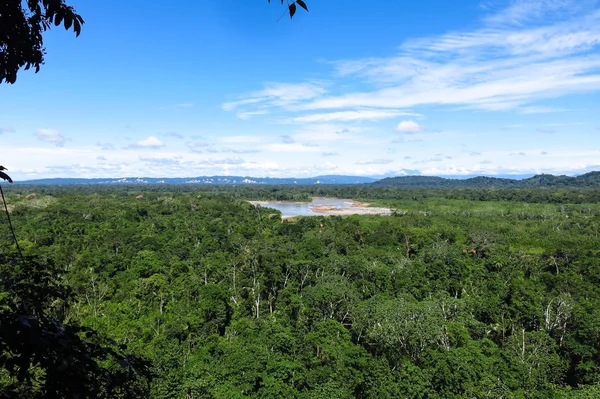 Amazonský prales — Stock fotografie