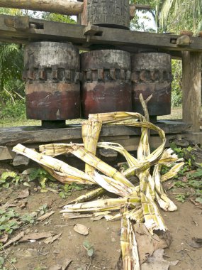 Eski trapiche şeker