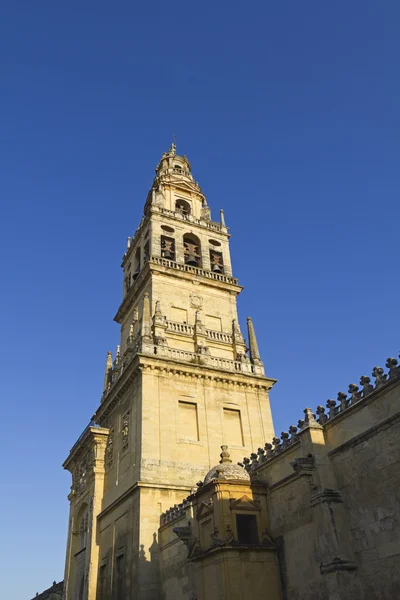 Belfort van de kathedraal-moskee van cordoba — Stockfoto