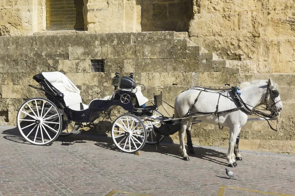 İspanyolca at arabası — Stok fotoğraf