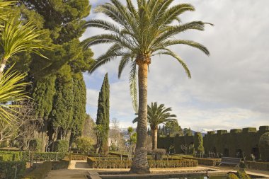 Alhambra gardens. Granada, Spain