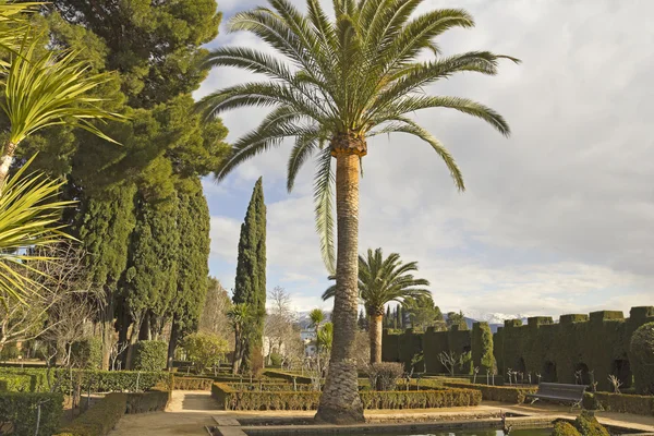 Alhambra gardens. Granada, Spain — Stockfoto