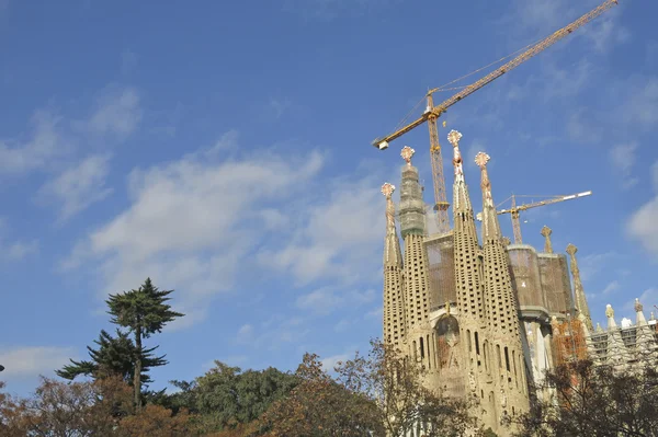 Barcelona'da Sagrada familia Tapınağı — Stok fotoğraf