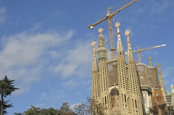 Barcelona'da Sagrada familia Tapınağı — Stok fotoğraf