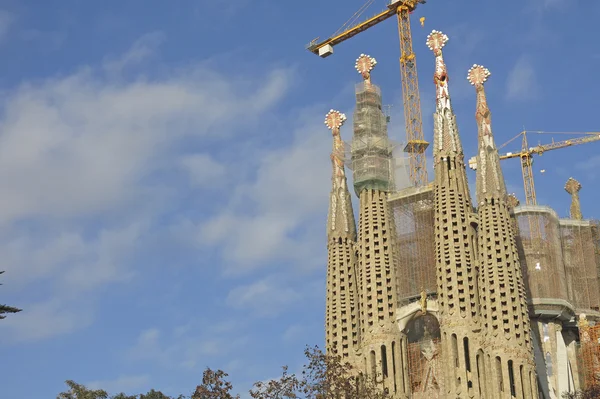 Barcelona'da Sagrada familia Tapınağı — Stok fotoğraf