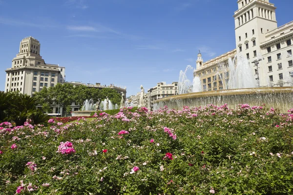 The Catalonia square — Stock Photo, Image