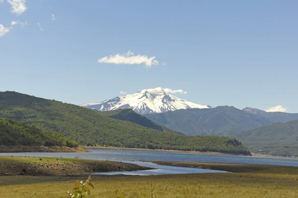 Nalcas Nationaalpark, Chili. — Stockfoto