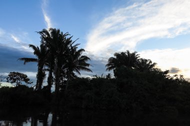 Yacuma Nehri. Amazon geçiş tekne.