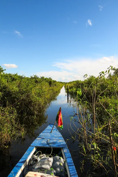 Båten passerar Amazonas. — Stockfoto