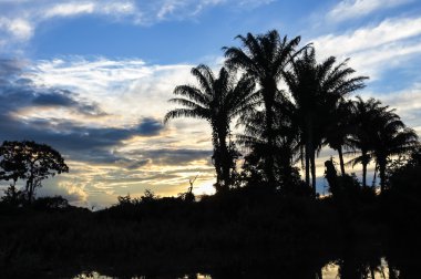 Yacuma Nehri. Amazon geçiş tekne.