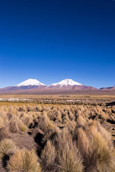 Volcans Parinacota et Pomérade. Haut paysage andin dans le A — Photo